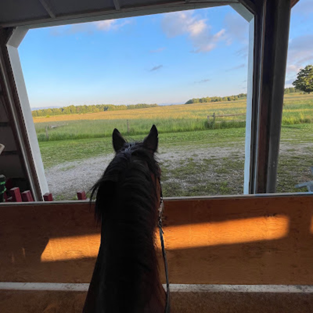 Meet your Posher, Ainsley